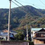 ハウス裏の山 / Mountain behind the house
