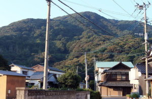 ハウス裏の山 / Mountain behind the house